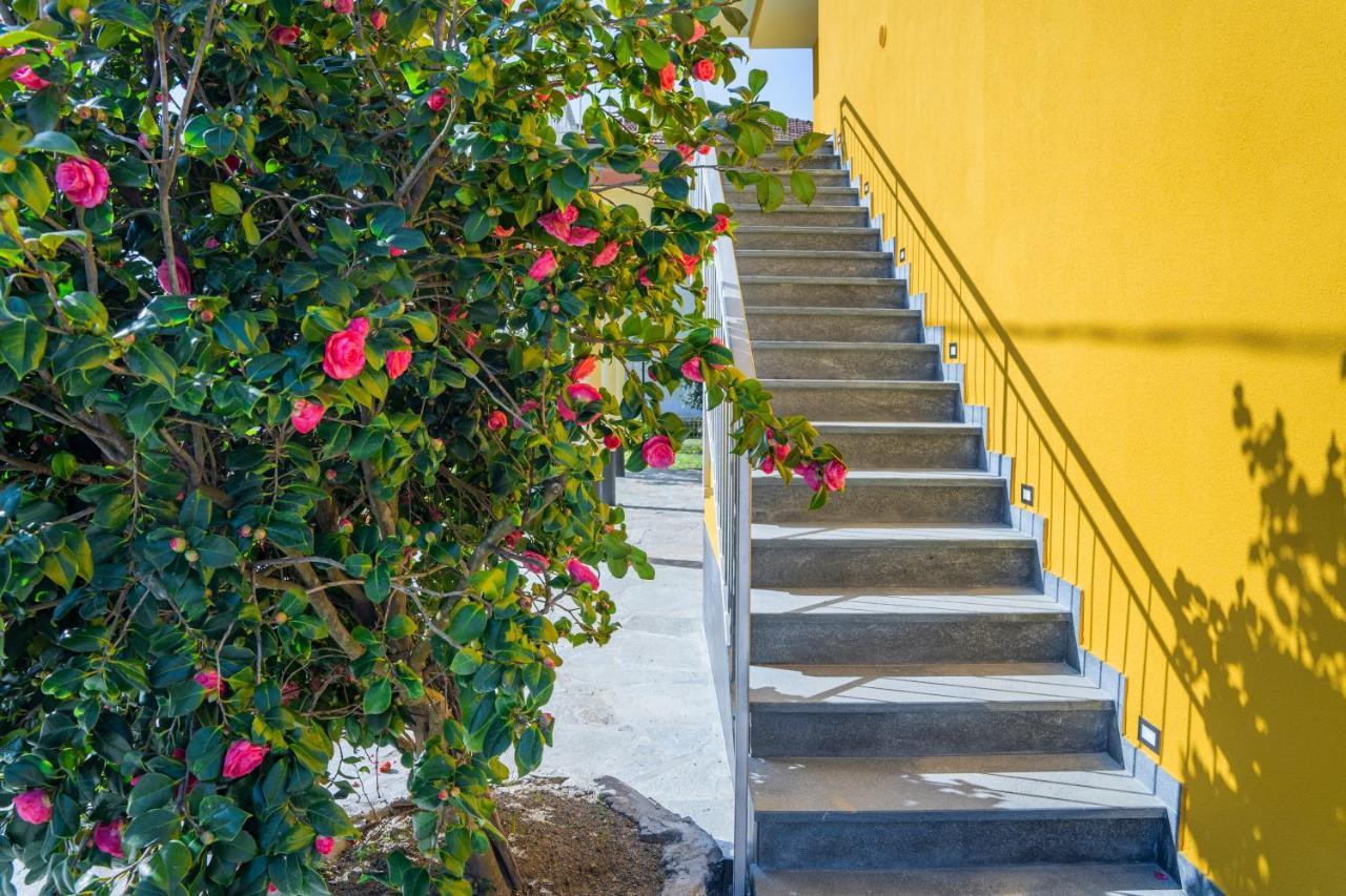 Agricanto Sestri Levante Ngoại thất bức ảnh